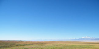 Consejo de Defensa del Estado y Albemarle solicitan presentar propuesta de conciliación en demanda por daño ambiental