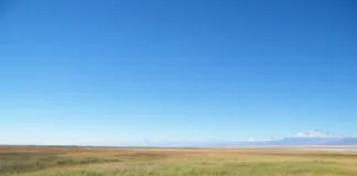 Consejo de Defensa del Estado y Albemarle solicitan presentar propuesta de conciliación en demanda por daño ambiental