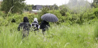 Tribunal acogió parcialmente reclamación de inmobiliaria por declaración de humedal urbano «Los Pelúes» en Isla Teja