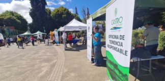 1er Festival de Animales de Compañía en Castro realizó más de 100 atenciones veterinarias
