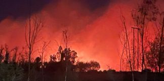 Colmevet hace llamado a no obstaculizar el trabajo de equipos de emergencia y evitar acercarse a la zona afectada, tras incendios en Ñuble