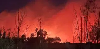 Colmevet hace llamado a no obstaculizar el trabajo de equipos de emergencia y evitar acercarse a la zona afectada, tras incendios en Ñuble