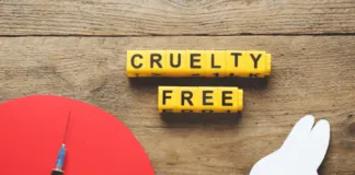 A una década de #BeCrueltyFree: Los cambios que logró esta campaña en nuestro país de la mano de Humane Society International