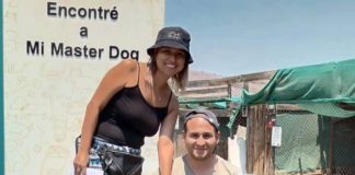 Buena noticia: 12 perritos del Refugio Esperanza de Mirada Animal encontraron hogar durante febrero