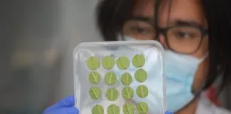 Inmunidad vegetal: Plantas más sanas y mejor productividad