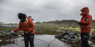 Estudian el impacto de la acidificación y calentamiento del océano Austral en algas de la Antártica