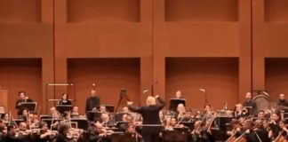 Filarmonica de Bogotá ofreció concierto pro ayuda a favor de adopción de perritos rechazados por su apariencia