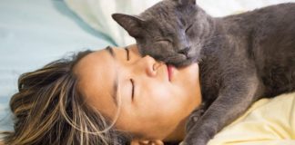 ¿Por qué los gatos duermen arriba de sus humanos?