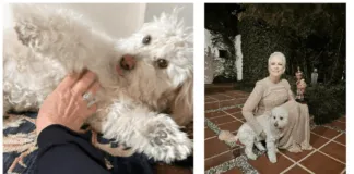 Emocionante historia: Tras ganar un Oscar, conocida actriz festejó junto a su perrito adoptado