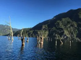 Llaman a seguir trabajando por la protección de los lagos de Panguipulli, tras ser declarada ilegal ordenanza que prohibía la circulación de embarcaciones