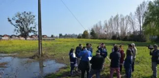 Segundo Tribunal Ambiental ordenó al MMA realizar nuevamente procedimiento de declaración del Humedal Urbano de Linares