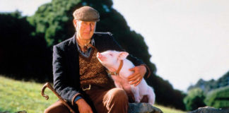 Protagonista de «Babe», James Cromwell, salvó a cerdito de ser llevado al matadero en la vida real