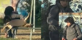 Declaran admisible querella presentada por Municipalidad de Curicó, tras caso de joven que abrió a perro para extraerle sus órganos