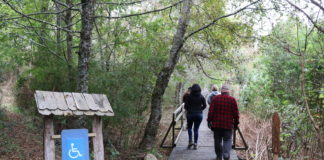 Más de 70 hectáreas de bosques nativos serán protegidas para siempre en Chiloé