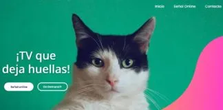 Lanzan nuevo canal online para los amantes de los animales de compañía