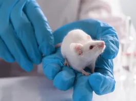 Colmevet La Araucanía manifiesta preocupación por cumplimiento de normativas relativas a experimentación animal