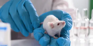 Colmevet La Araucanía manifiesta preocupación por cumplimiento de normativas relativas a experimentación animal