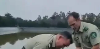 Carabineros rescatan a perrito atrapado en un tranque y le dan un hogar