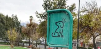 Denuncian nueva forma de abandonar perros en Santiago Centro