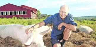 Peter Singer, el más famoso defensor de los animales: “Si queremos reducir el sufrimiento debemos ayudar a los animales de granja”