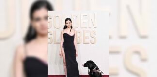 «Miss Ingrid» , la primera perrita guía en la historia de la premiación de los Golden Globes, que desfiló sobre la alfombra roja