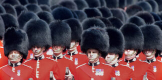 Actor Stephen Fry pide que la Guardia Real británica reemplace los sombreros de piel de oso por sintéticos