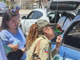 Lanzan campaña que busca prevenir siniestros viales que involucren a animales silvestres en la región de Tarapacá