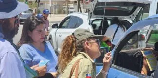 Lanzan campaña que busca prevenir siniestros viales que involucren a animales silvestres en la región de Tarapacá