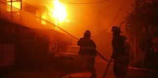Ellos también cuentan: Habilitan centros de ayuda veterinaria para los animales de compañía afectados a causa de los incendios forestales en Viña y alrededores
