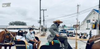 Convocan a protestar contra el uso de caballos en las “Cabritas” de Pichilemu