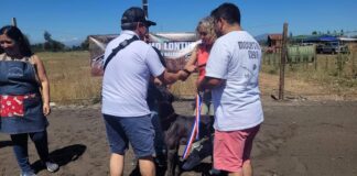 Solicitan pronunciamiento del Gore Regional del Maule, tras inauguración de canódromo en Molina