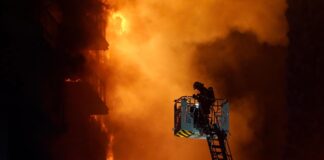 Triste realidad: 48 perros, 36 gatos y otros animales murieron en el incendio de los edificios de Campanar (Valencia, España)