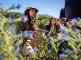 Recorrido yuyero: La sabiduría de las plantas desde la Patagonia