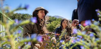 Recorrido yuyero: La sabiduría de las plantas desde la Patagonia