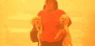 ¿Qué hacer si no me dejan entrar a un albergue con mi peludo?