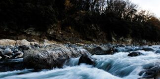 Iniciativa Ríos Protegidos reúne especialistas en conservación para impulsar proyecto de ley en la materia