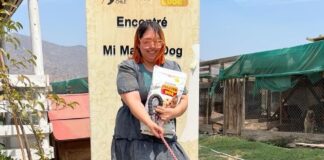 Buenas noticias: 7 perros fueron adoptados desde el Refugio Esperanza de Mirada Animal Chile