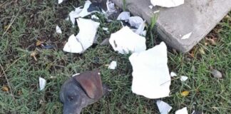 Denuncian destrucción de escultura homenajeando a Bartolito en La Calera