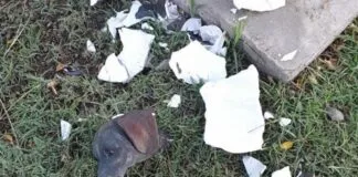 Denuncian destrucción de escultura homenajeando a Bartolito en La Calera