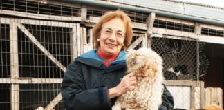 Colmevet Magallanes destaca figura de Helia Tagle como pionera en el cuidado de animales abandonados