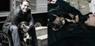 Actor que se hizo famoso por ser «el malo» de The Walking Dead, lleva tatuado el nombre de su perrita