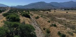 Gobierno de Santiago entregará estrategias hídricas a 30 comunas de la RM para enfrentar la mega sequía