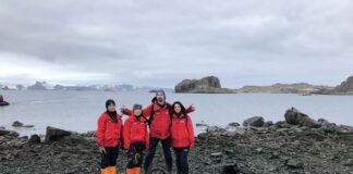 Equipo chileno logra secuenciar por primera vez el genoma completo de la influenza aviar altamente patógena en la Antártica