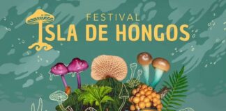 Se viene el Primer Festival Isla de Hongos en Chiloé
