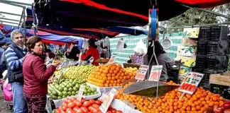 Denuncian venta de gallinas vivas amarradas y carne sin respetar la cadena de frío en feria de San Bernardo
