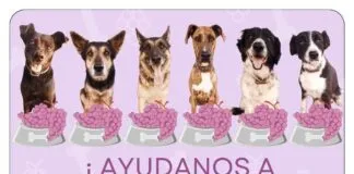Únete a la campaña «Comprar un buen vino y salvar vidas»