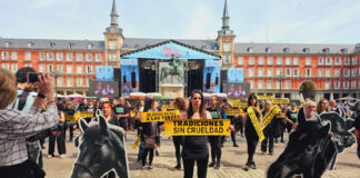 España: Demandan la cancelación de las corridas de toro en las Fiestas de San Isidro