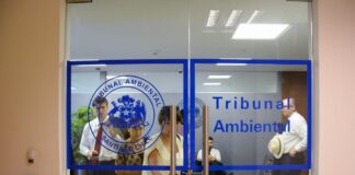 Segundo Tribunal Ambiental ratifica que proyecto fotovoltaico “Chicureo Solar” es compatible territorialmente dada la relevancia de la infraestructura energética