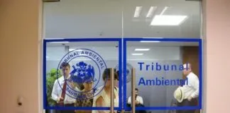 Segundo Tribunal Ambiental ratifica que proyecto fotovoltaico “Chicureo Solar” es compatible territorialmente dada la relevancia de la infraestructura energética