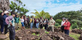 “Jardín Demostrativo Manavai”: conservación de la biodiversidad de Rapa Nui tomando como referencia la tecnología ancestral